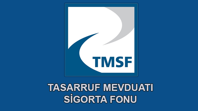 TMSF23