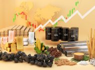FİTCH ALTIN VE EMTİA FİYATLARINI GÜNCELLEDİ