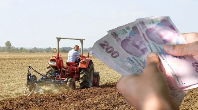 TÜİK AÇIKLADI: TARIMDA FİYATLAR UÇUŞTA!